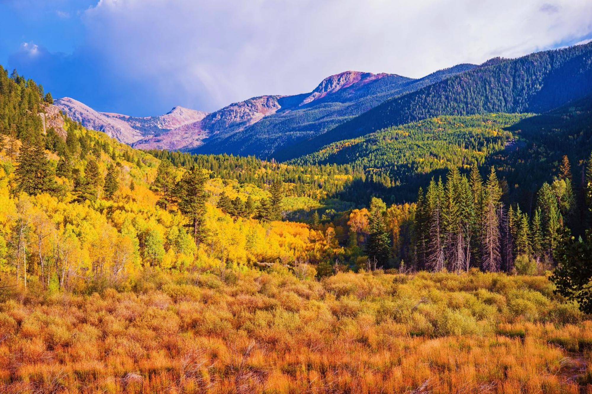 Breakaway West Villa Vail Rom bilde